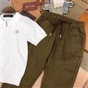 Loro Piana sz100-150  (18)