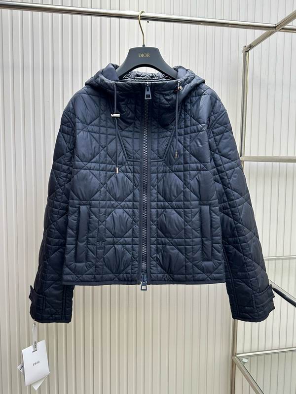 Dior S-L wdtr02