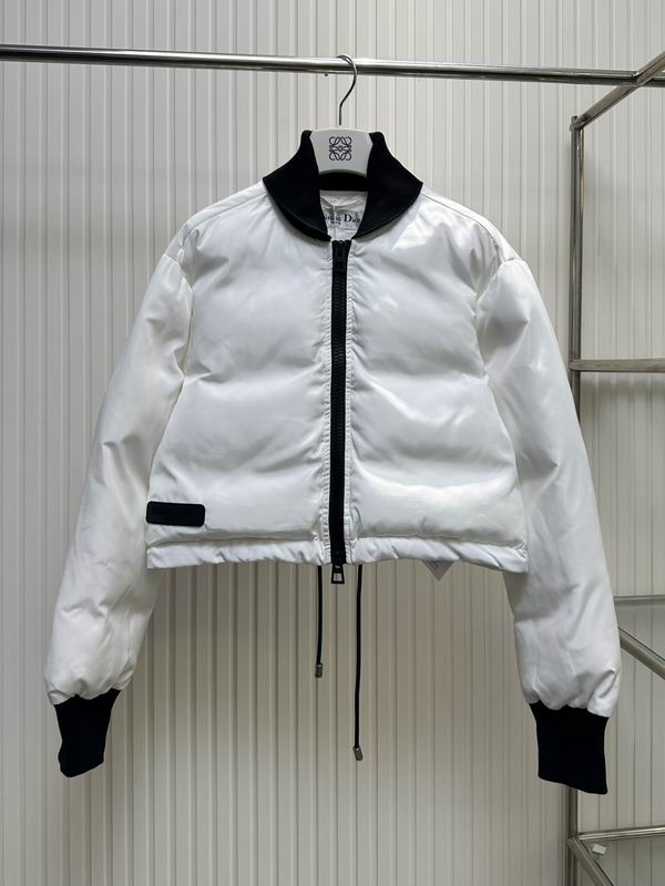 Dior S-L wdtr04