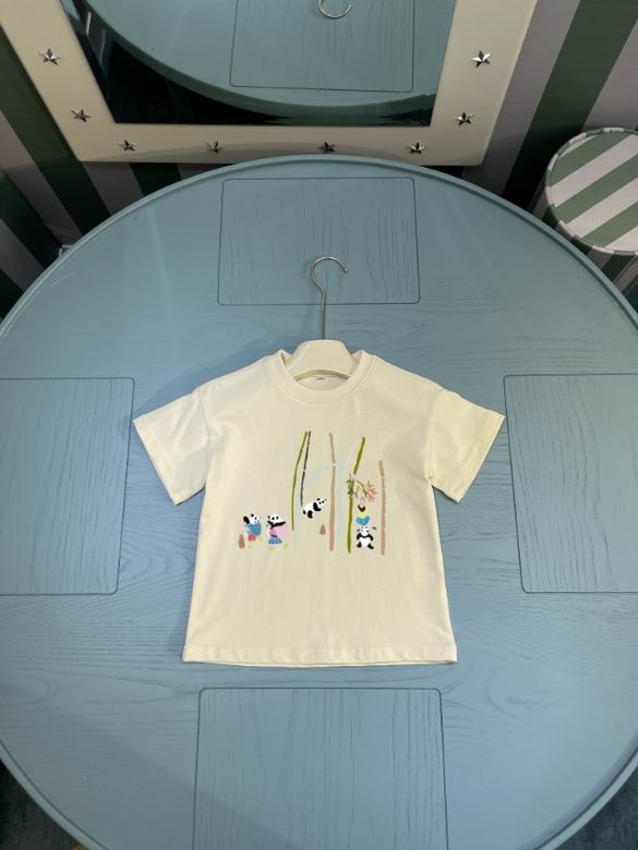 Loewe sz100-160 02