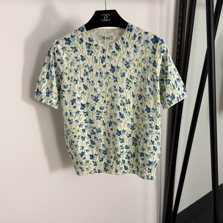 Loewe S-L 11